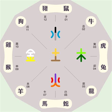 卯 五行|八字十二地支詳解——卯